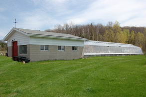 Greenhouse - Country homes for sale and luxury real estate including horse farms and property in the Caledon and King City areas near Toronto